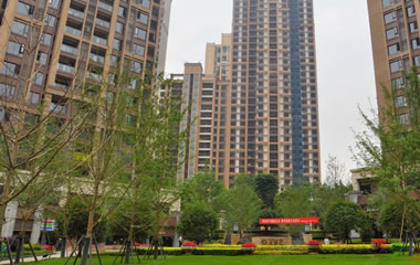 香港2025资料大全